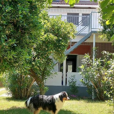 .....Und Der Hund Darf Mit Lägenhet Privlaka  Exteriör bild